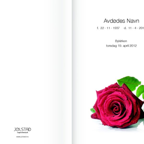 Liggende rod rose, Jo-06 – Jølstad Begravelsesbyrå